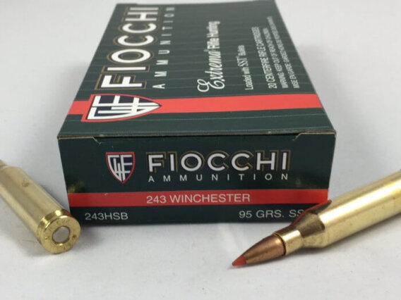 FIOCCHI AMMUNITION 243 WIN 95 GRAIN, SST, BOX OF 20, FIO-243HSB