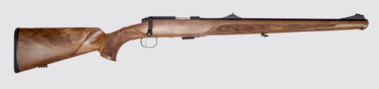 STEYR ZEPHYR II .22LR OPEN SIGHTS, N-70.051.1B2