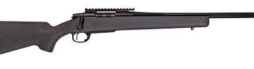 REM 700 Alpha 1 Hunter 243 Win 22″, N-R68893